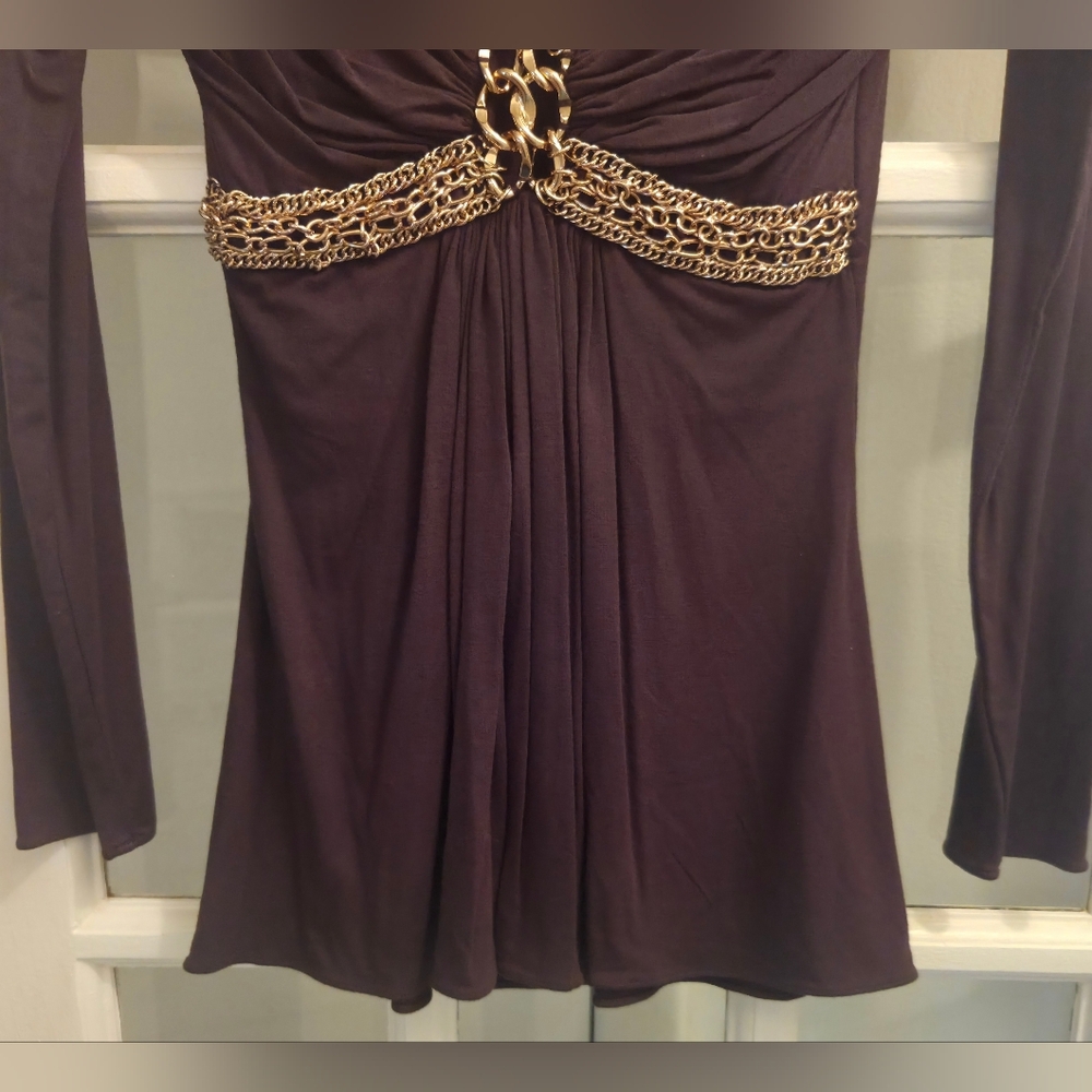 The Famous "SKY" BRAND Long Sleeve Brown Dress with Gold Embellish Details - Picture 5 of 9
